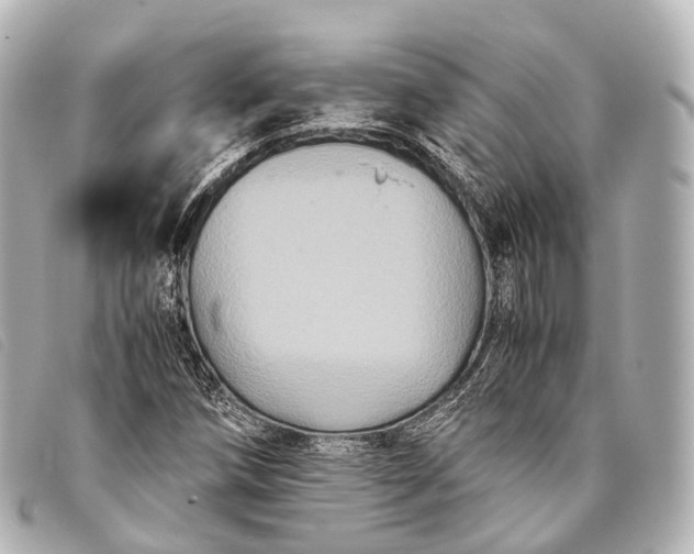 X0000093371258200710251146