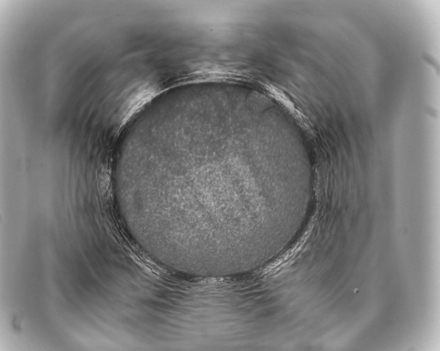 X0000093371259200710251146