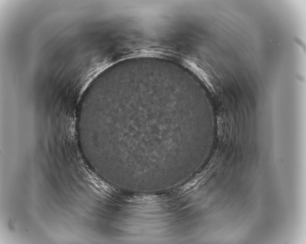 X0000093371260200710251146