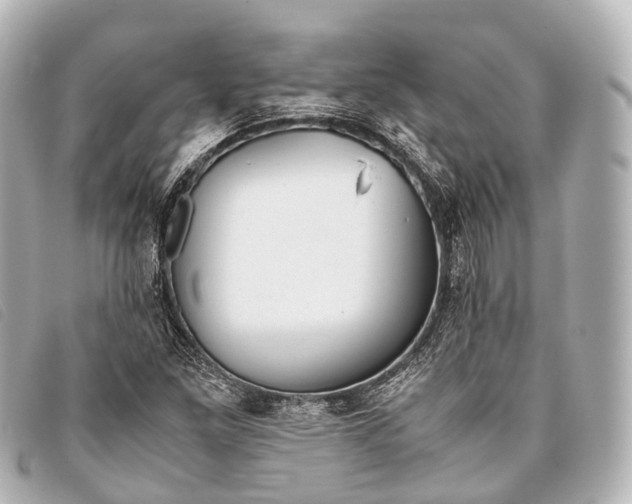 X0000093371261200710251146