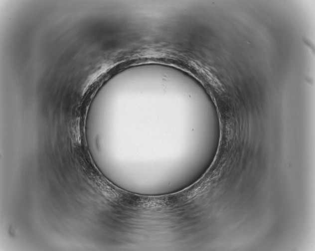 X0000093371262200710251146