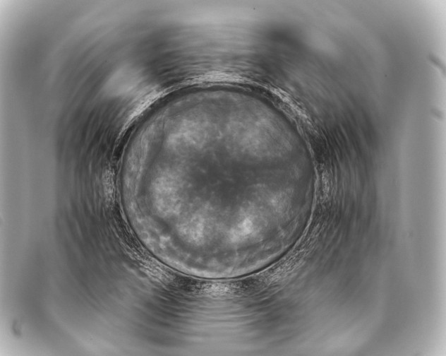 X0000093371266200710251145