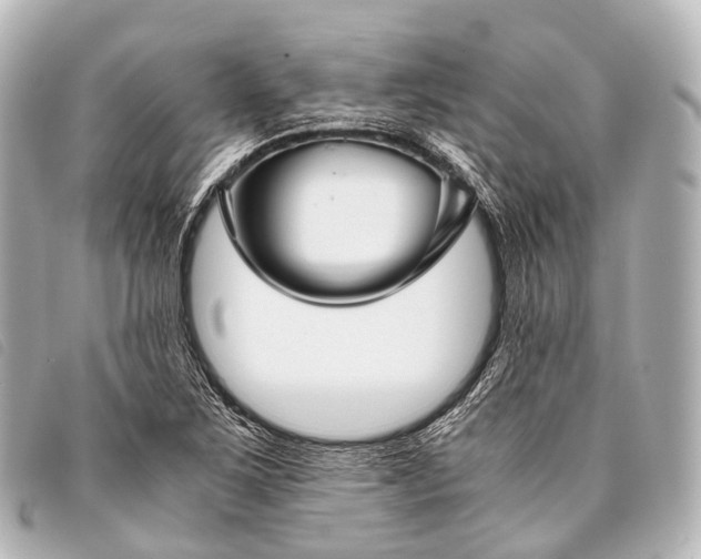 X0000093371267200710251145