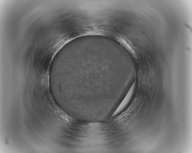 X0000093371268200710251145