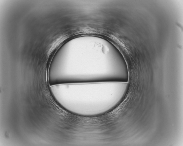 X0000093371269200710251145