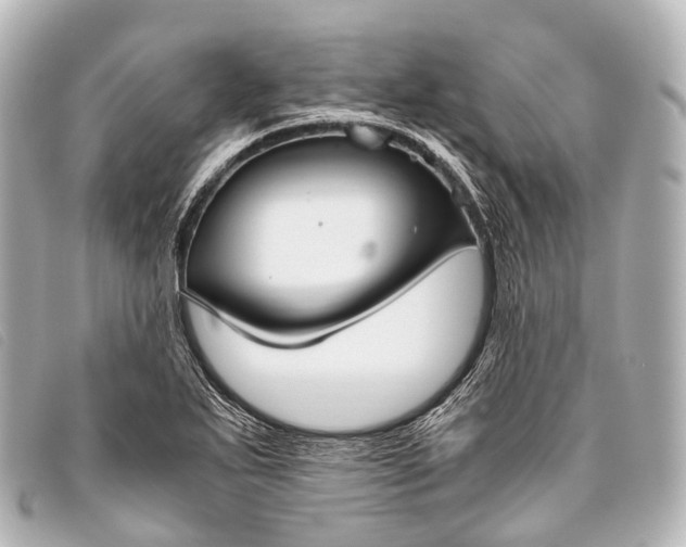 X0000093371271200710251145