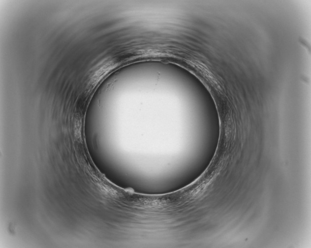 X0000093371273200710251145