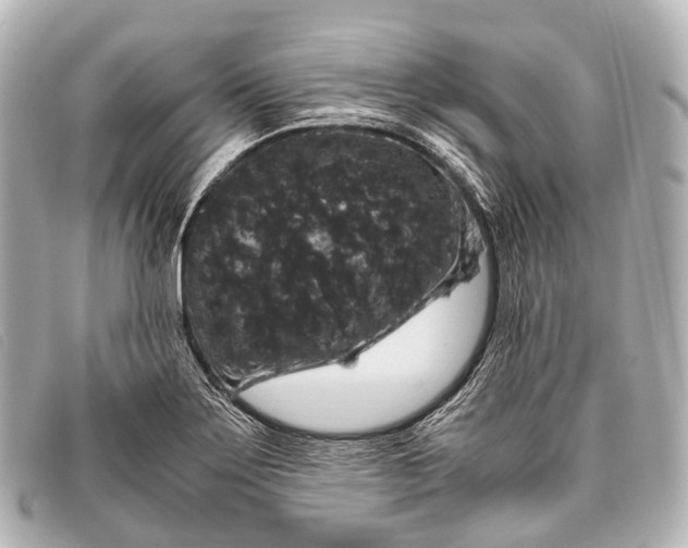 X0000093371275200710251145