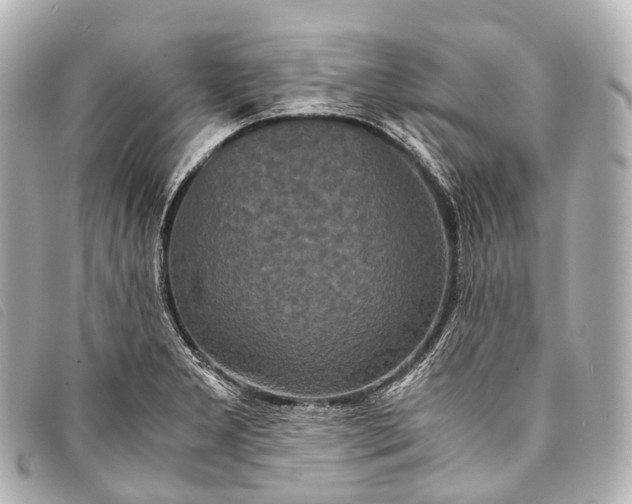 X0000093371277200710251145