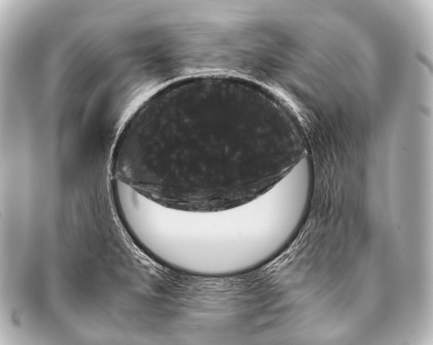 X0000093371279200710251145