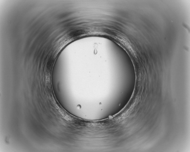 X0000093371281200710251145