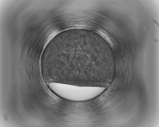 X0000093371283200710251145