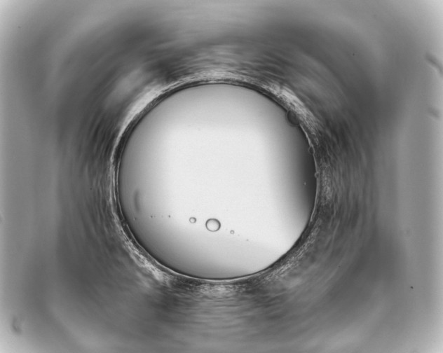 X0000093371286200710251145