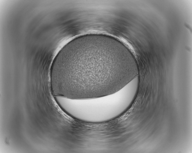 X0000093371287200710251145