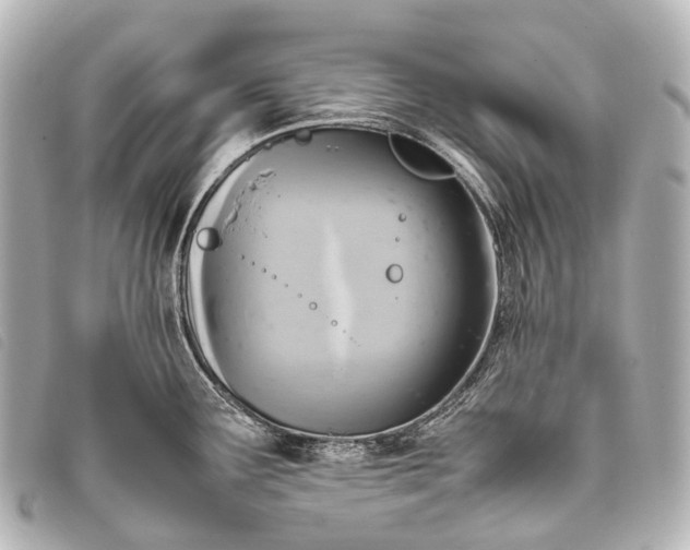 X0000093371291200710251145