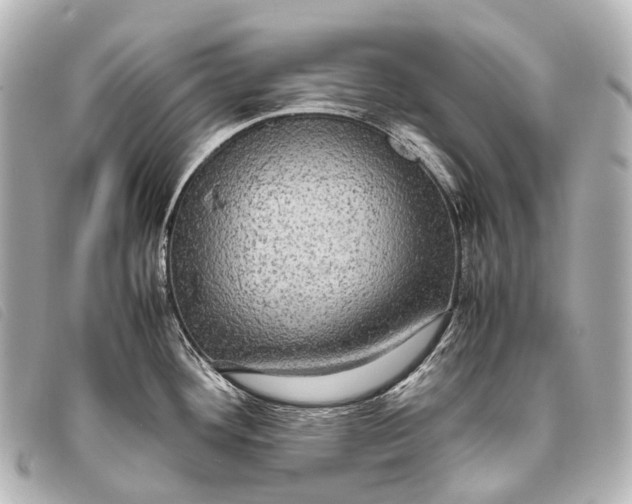 X0000093371292200710251145