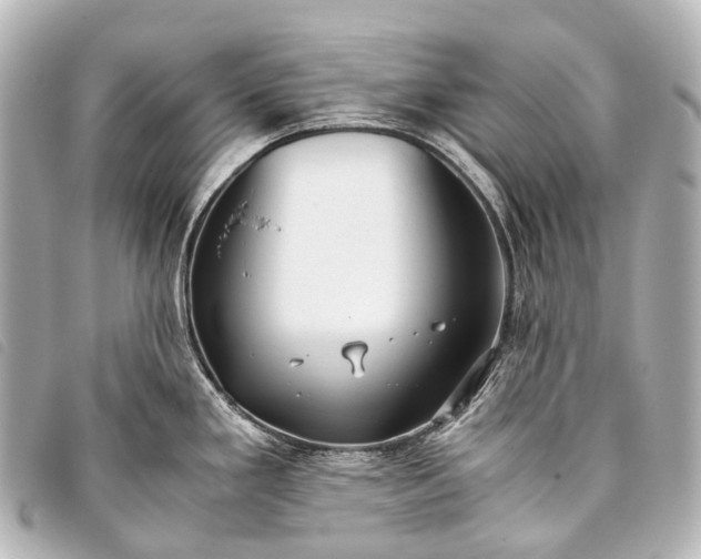 X0000093371293200710251145