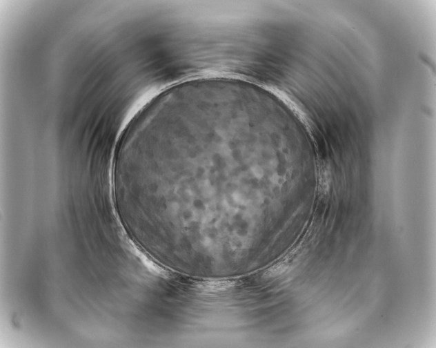 X0000093371294200710251145