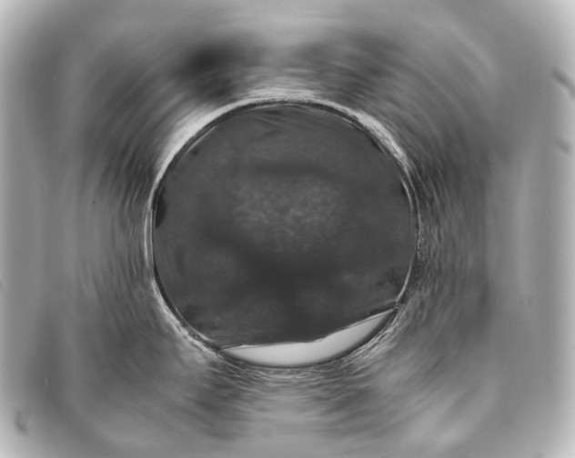 X0000093371295200710251145