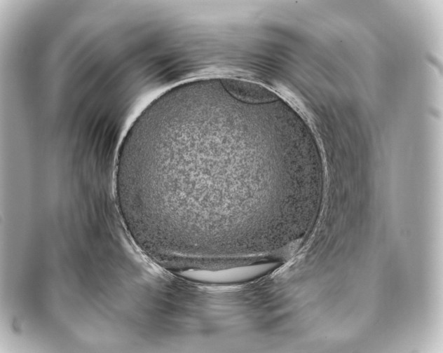 X0000093371296200710251145