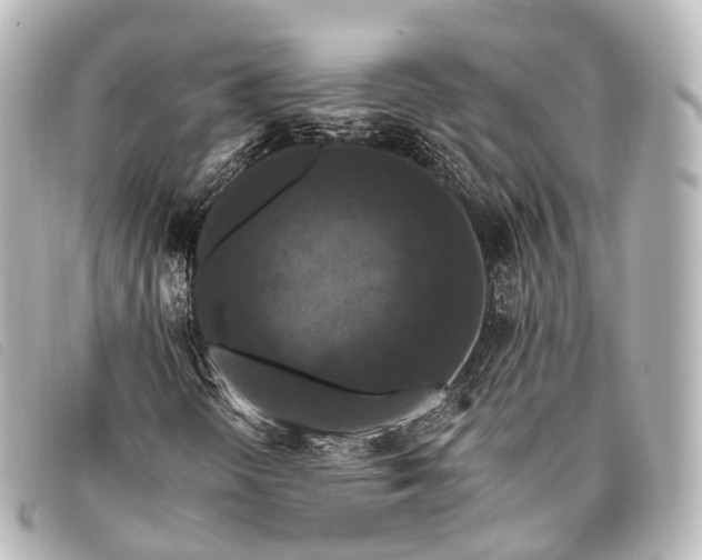 X0000093371298200710251144