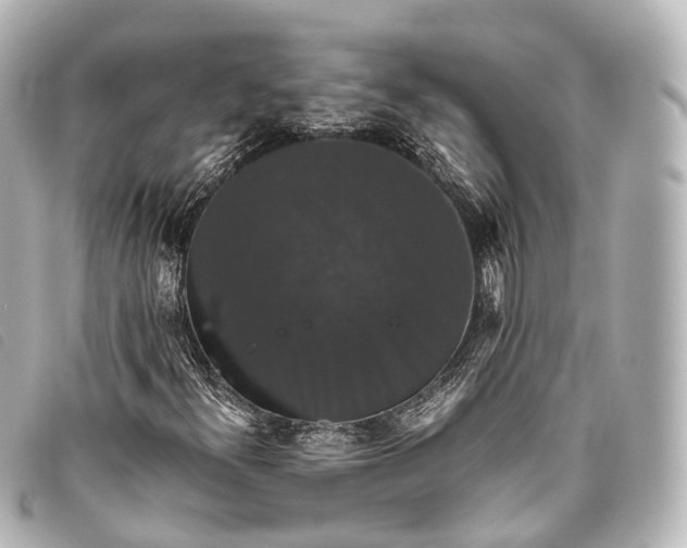 X0000093371300200710251144