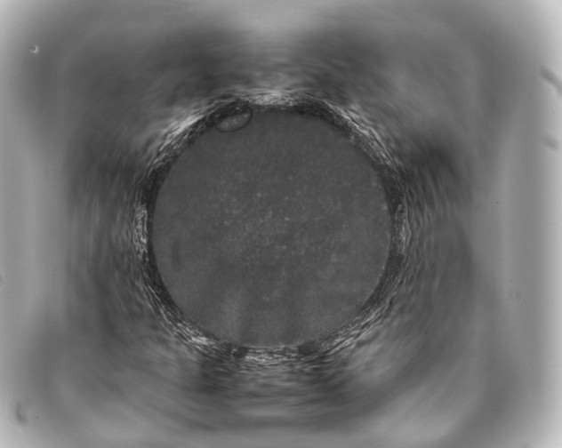 X0000093371301200710251144