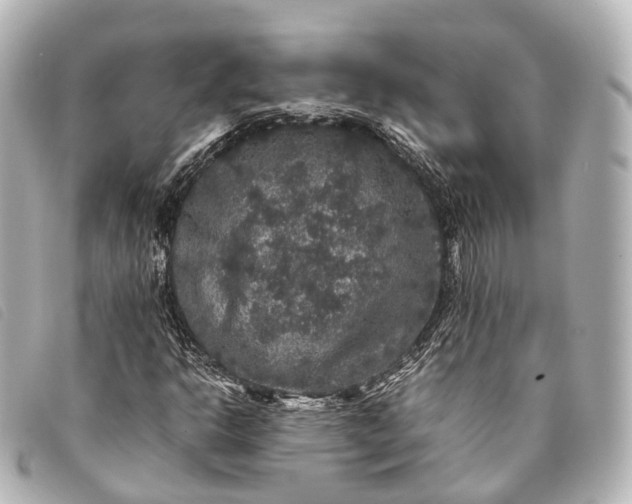 X0000093371302200710251144