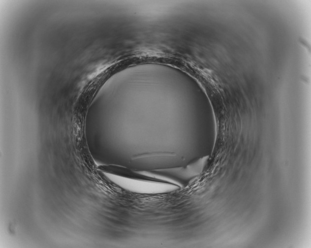 X0000093371303200710251144