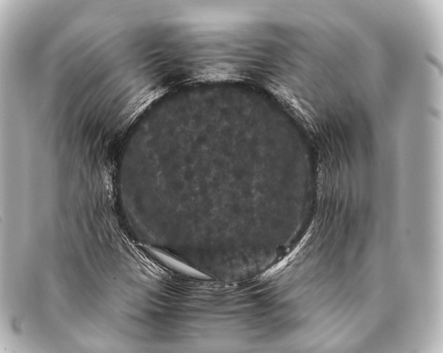 X0000093371305200710251144