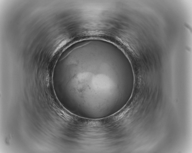 X0000093371306200710251145