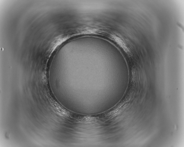 X0000093371308200710251145