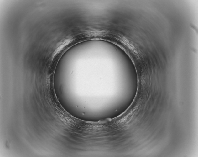 X0000093371309200710251145