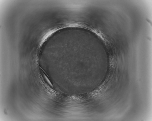 X0000093371311200710251145