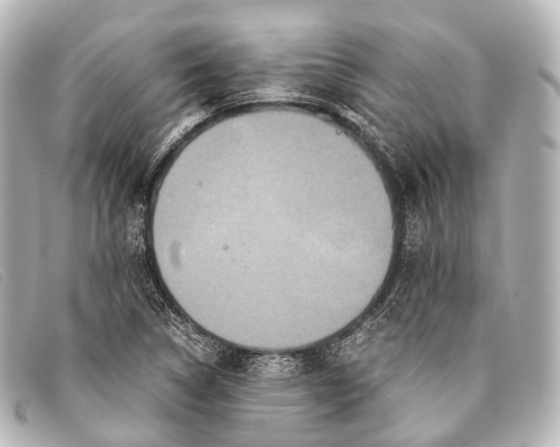 X0000093371314200710251145