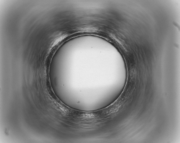 X0000093371315200710251145