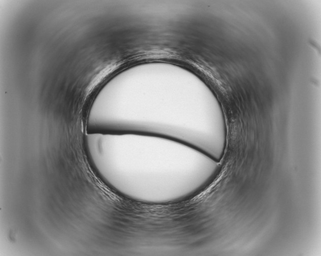 X0000093371317200710251145