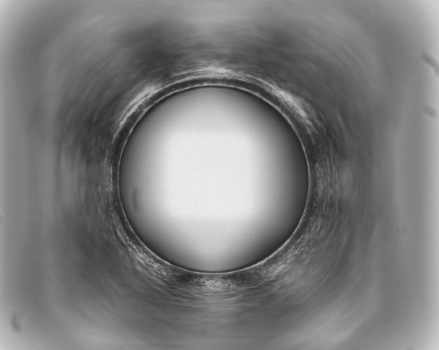 X0000093371318200710251145