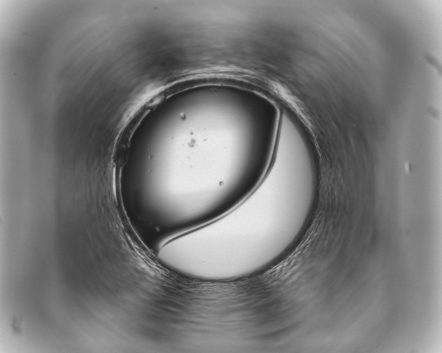 X0000093371320200710251145