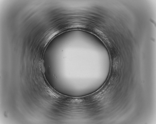 X0000093371321200710251145