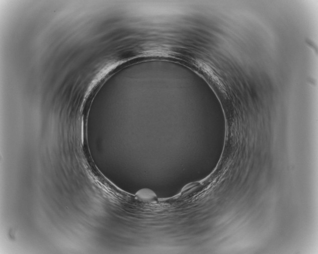 X0000093371323200710251145