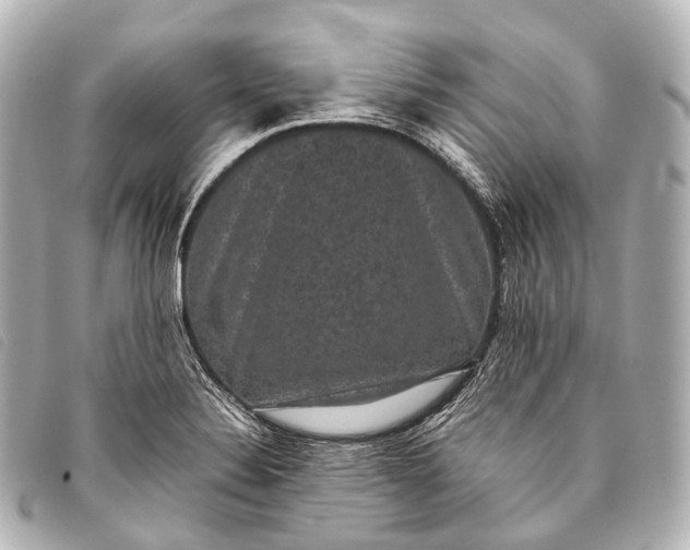 X0000093371324200710251145