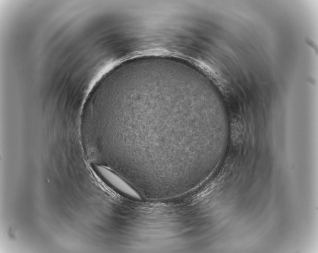 X0000093371326200710251145