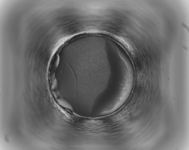 X0000093371327200710251145