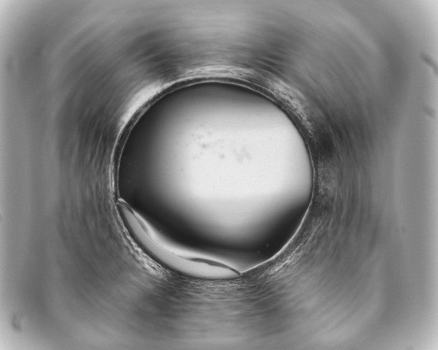 X0000093371328200710251145