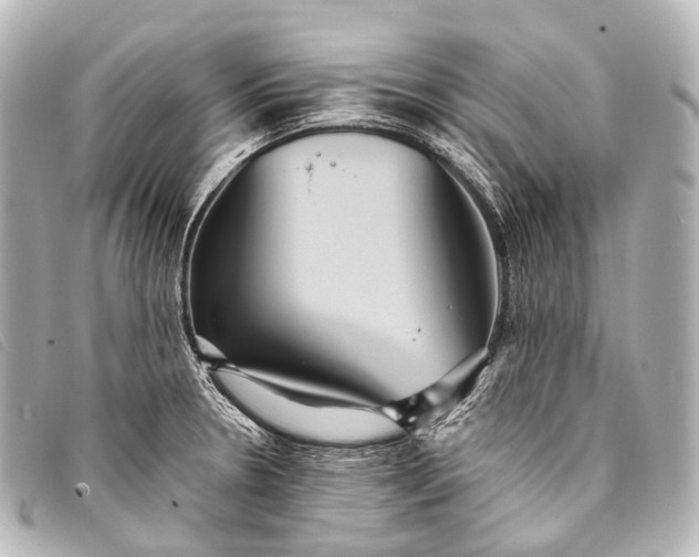 X0000093371330200710251145