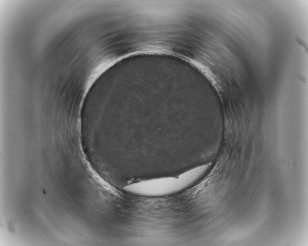 X0000093371335200710251145