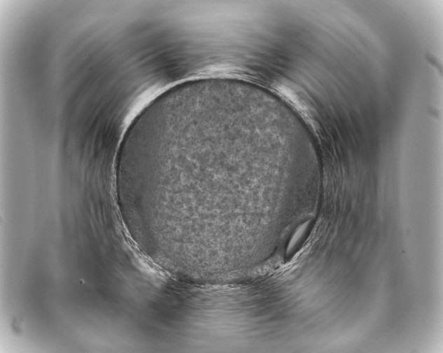 X0000093371336200710251145