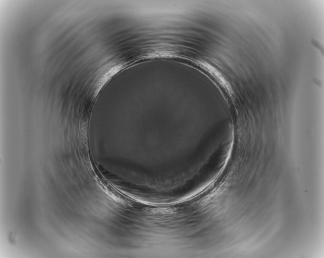 X0000093371337200710251145