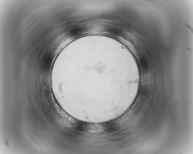 X0000093371338200710251145